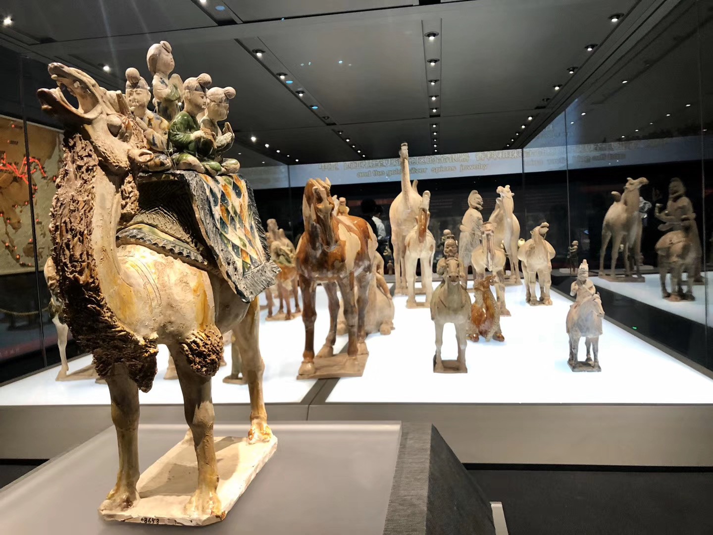 攜手筑夢(mèng) 共贏未來(lái)丨浪聲2019西安文化之旅完美收官(圖6)